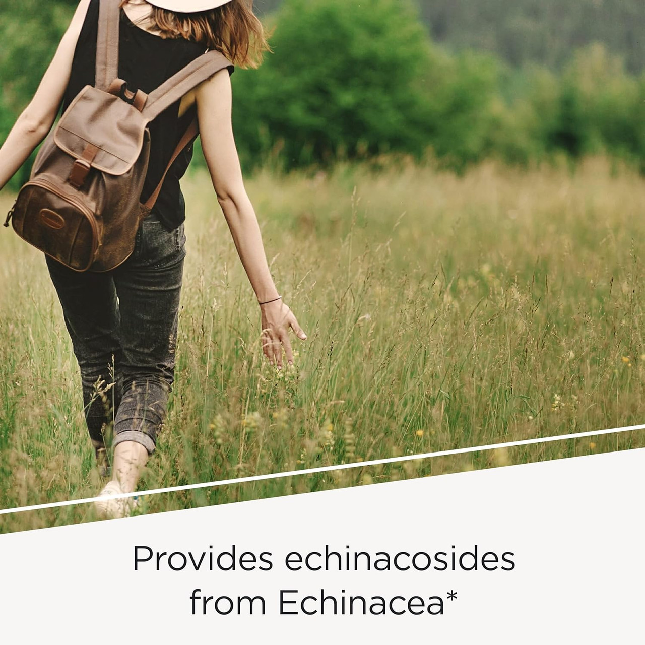 Woman walking through a meadow with a backpack, echinacosides from echinacea graphic