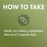 How to take graphic, adults take one capsule daily