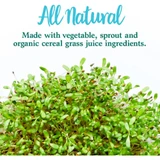 Garden of Life Garden Of Life Perfect Food - 300 Grams