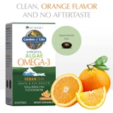 Algae Omega-3 box with orange slices and softgel size, clean orange flavor and no aftertaste