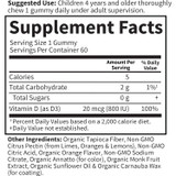 Garden of Life Kids Vitamin D3 Gummies - 60 Gummies