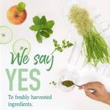 Fresh herbs and apple with green powder, we say yes to freshly harvested ingredients