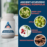 Neem Plus key herbs, neem leaf, amla, Indian tinospora and Indian madder