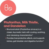 Phyllanthus, milk thistle and dandelion ingredient graphic