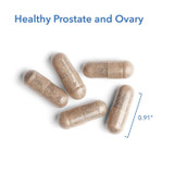 Healthy Prostate and Ovary capsules beside a 0.91 inch size marker