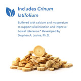 Dried root pieces, includes Crinum latifolium graphic