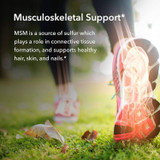 Runner on grass with highlighted joints, MSM source of sulfur graphic