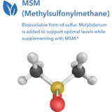 MSM molecule model, bioavailable form of sulfur with molybdenum graphic