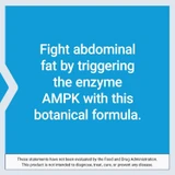 Blue graphic about the AMPK botanical formula