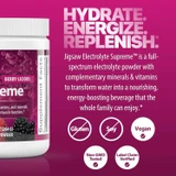 Hydrate, energize, replenish graphic with gluten-free, soy-free and vegan icons
