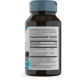 Nature's Way Bilberry Standardized - 90 Capsules