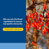 Red berries on a branch, Natural Factors finest ingredients third party certified graphic