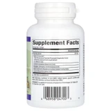 Back of Anti-V Formula with ECHINAMIDE bottle with supplement facts panel