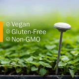 Seedlings in a field with vegan, gluten-free and non-GMO callouts