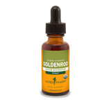 Herb Pharm Goldenrod liquid extract dropper bottle