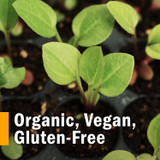 Seedlings in soil, organic, vegan, gluten-free graphic
