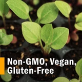 Seedlings, non-GMO, vegan, gluten-free graphic