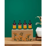 Row of Herb Pharm extract bottles on a wooden box