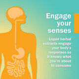 Engage your senses liquid herbal extracts graphic with body silhouette