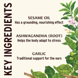 Ear Oil key ingredients sesame oil, ashwagandha and garlic graphic