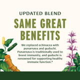 Updated blend graphic with punarnava and guduchi botanical drawings