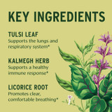 Key ingredients graphic, tulsi leaf and kalmegh herb