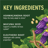 Key ingredients graphic, ashwagandha root, mucuna seed and eleuthero root