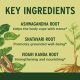 Healthy Vata key ingredients graphic: ashwagandha, shatavari and vidari kanda root