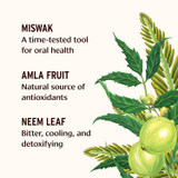 Miswak, amla fruit and neem leaf ingredient callouts with botanical illustration