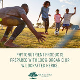 Family playing soccer at sunset, phytonutrient products with organic or wildcrafted herbs