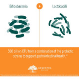Lactobacilli and Bifidobacteria strains diagram, 500 billion CFU graphic