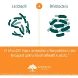 Lactobacilli and Bifidobacteria strains diagram, 12 billion CFU graphic