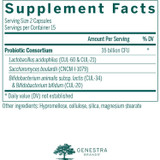 HMF Travel supplement facts panel, 35 billion CFU probiotic consortium
