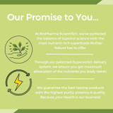 Our promise to you graphic on green