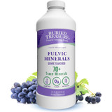 Buried Treasure Fulvic Minerals grape flavored 70+ trace minerals 32 fl oz bottle