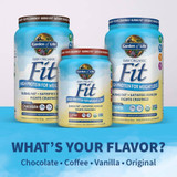 Raw Organic Fit tubs in four flavors: chocolate, coffee, vanilla and original