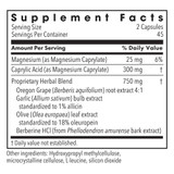 Metabolic Maintenance Happy Belly - 90 Capsules