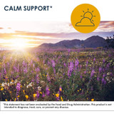 Wildflower meadow at sunset with a sun icon, calm support graphic