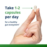 Hand holding a white capsule, take 1-2 capsules per day for gut ecosystem
