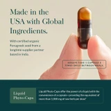 Fingers holding a liquid phyto-cap, made in the USA with global ingredients graphic