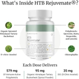 What's inside HTB Rejuvenate graphic with ingredient amounts per dose