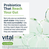 Bubbles in water, probiotics that reach your gut shelf-stable graphic