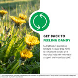 Dandelion field, get back to feeling dandy microbial mood graphic