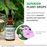 Superior plant drops graphic with hydro-alcohol bioavailability callout