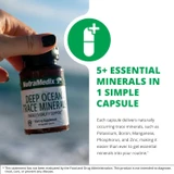 Hand holding bottle, 5 plus essential minerals in 1 capsule graphic