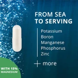 White capsule on ocean bubbles, from sea to serving minerals graphic