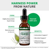 Harness power from nature Teasel antioxidant microbial support graphic