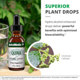 Superior plant drops graphic with hydro-alcohol bioavailability callout