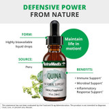 Defensive power from nature Quina immune microbial inflammatory support graphic