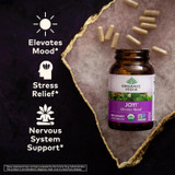 Joy! bottle with capsules, elevates mood stress relief nervous system graphic